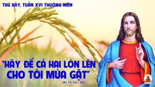 23.7.2022 – Thứ Bảy Tuần XVI Thường Niên