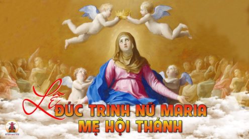 06.5.2022 – Thứ Hai Tuần X Thường Niên – lễ Đức Trinh Nữ Maria, Mẹ Hội Thánh